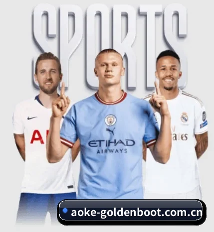 aoke-goldenboot.com.cn围绕看球场景设计的核心服务