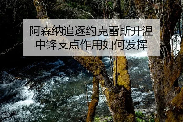 阿森纳追逐约克雷斯升温 中锋支点作用如何发挥