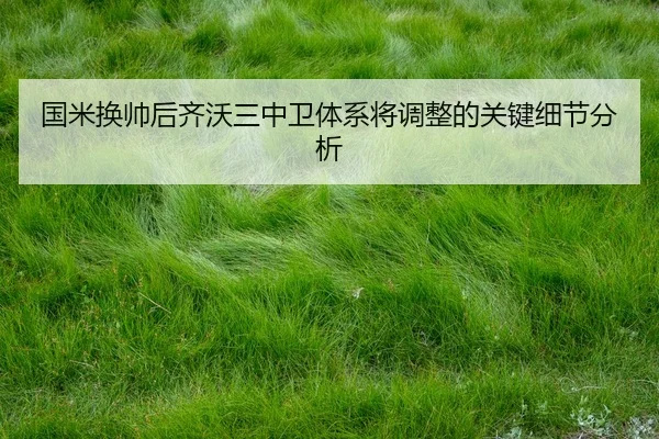 guo-mi-huan-shuai-hou-qi-wo-san-zhong-wei-ti-xi-jiang-tiao-zheng-de-guan-jian-xi-jie-fen-xi-2-420.jpg