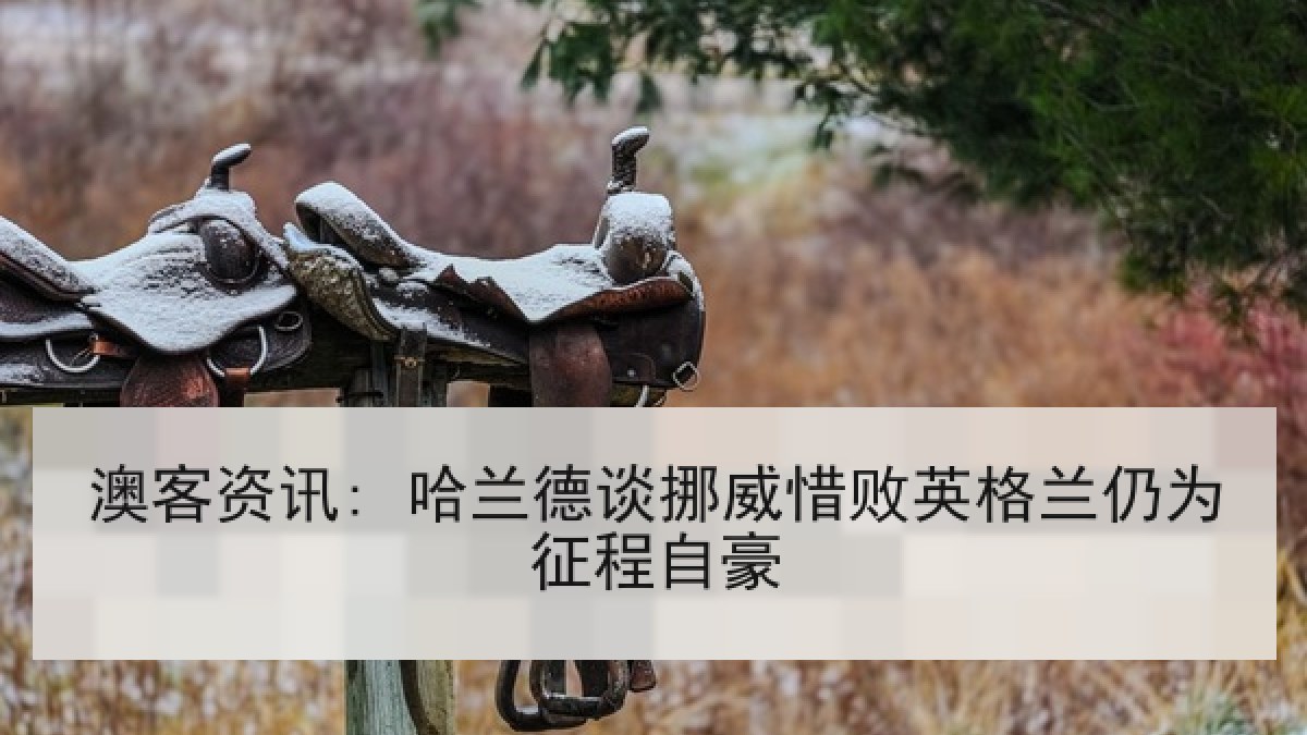 澳客资讯: 哈兰德谈挪威惜败英格兰仍为征程自豪