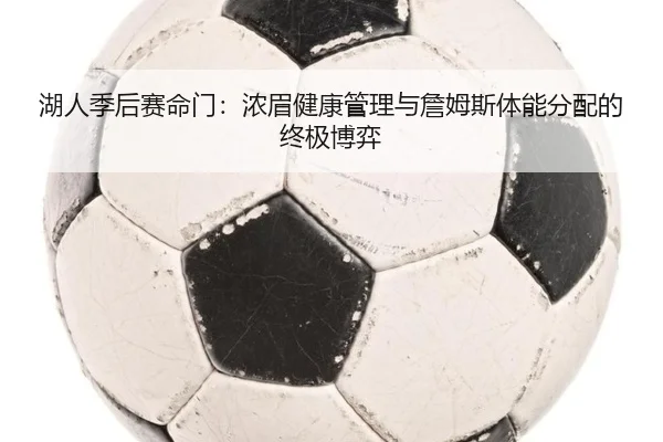 湖人季后赛命门：浓眉健康管理与詹姆斯体能分配的终极博弈