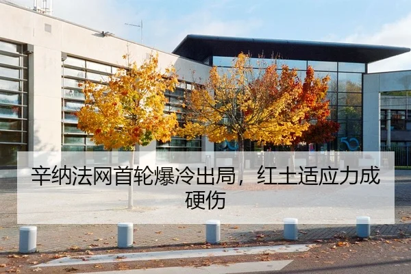 辛纳法网首轮爆冷出局，红土适应力成硬伤